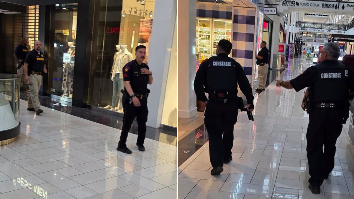 Une fusillade au Deerbrook Mall fait un blessé et un interpellé à Humble, Texas : la police