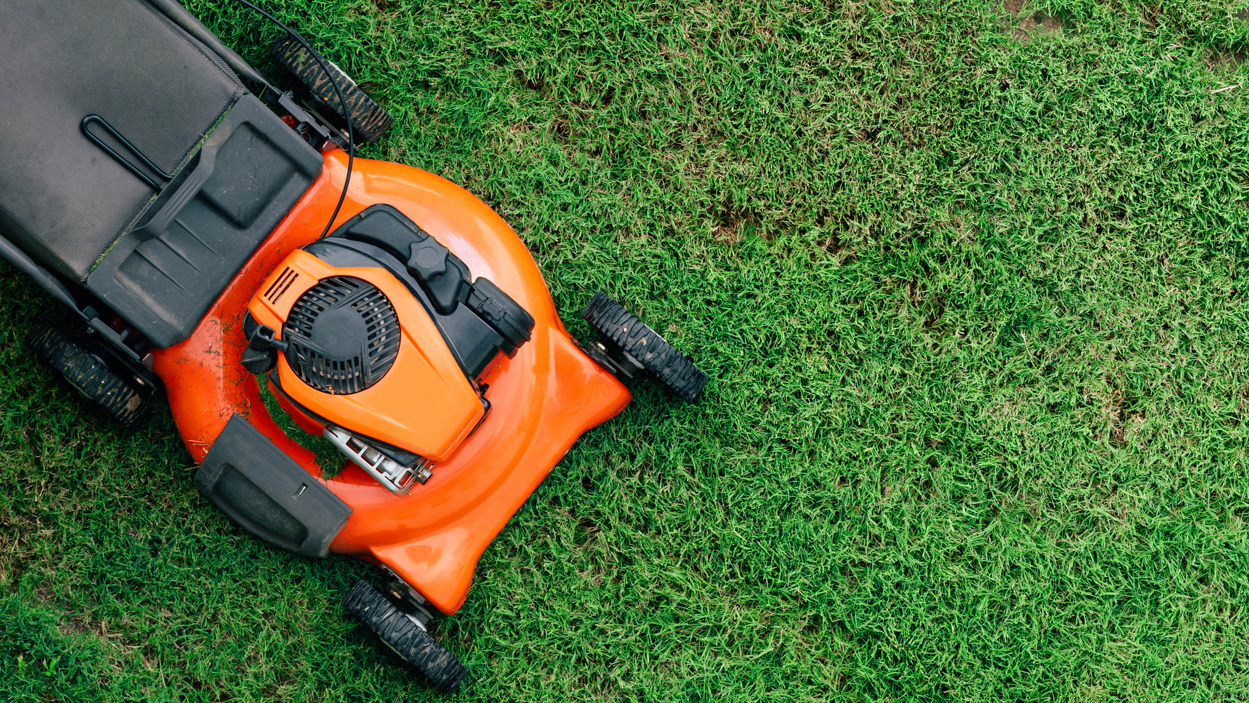 Çimleri kesen turuncu bir çim biçme makinesi