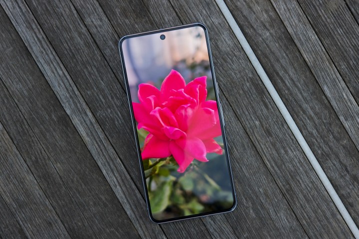 Google Pixel 8 Pro'nun ekranında görüntülenen bir çiçeğin fotoğrafı.