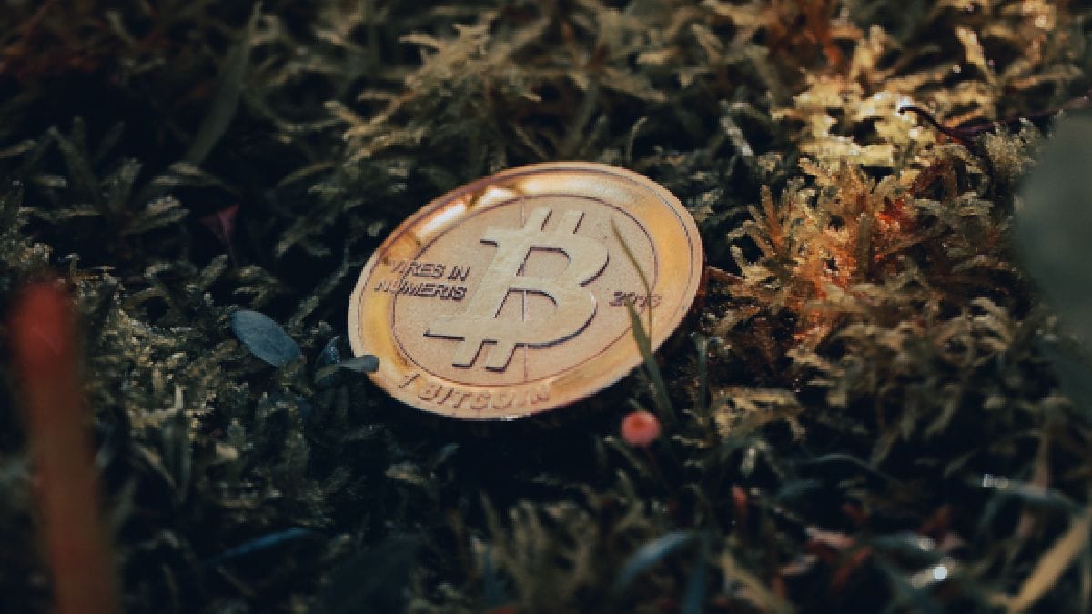 Bugünkü Kripto Fiyatı: Bitcoin, ETH ve BNB'deki Kayıplara Rağmen Değerini 28.000 Doların Üzerinde Koruyor - Dünyadan Güncel Teknoloji Haberleri