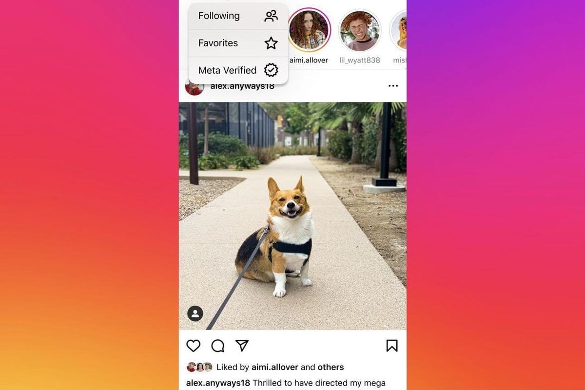 Yalnızca Doğrulanmış Kişilerin Gönderilerini Gösteren Instagram Test Akışı - Dünyadan Güncel Teknoloji Haberleri