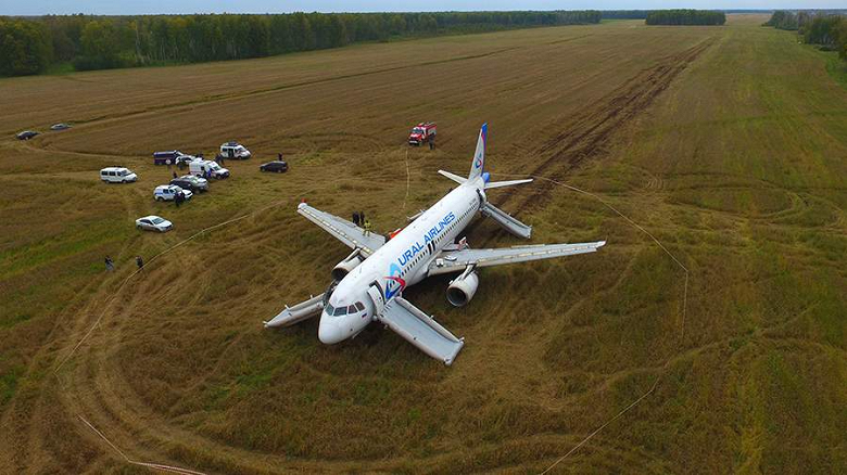 Yetkililer sonuçlardan memnun değildi. Ural Havayolları'na ait uçağın buğday tarlasına inişine ilişkin soruşturma yeniden başlatıldı - Dünyadan Güncel Teknoloji Haberleri