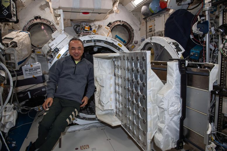 Astronot Satoshi Furukawa Kibo Laboratuvar Modülünde Çalışıyor