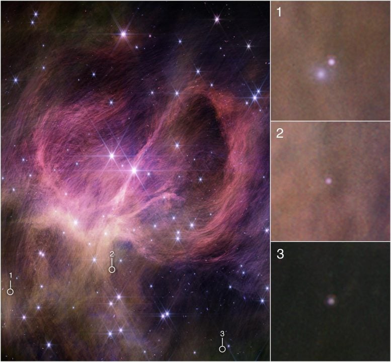 IC 348'deki Kahverengi Cüceler (Webb NIRCam Görüntüsü)