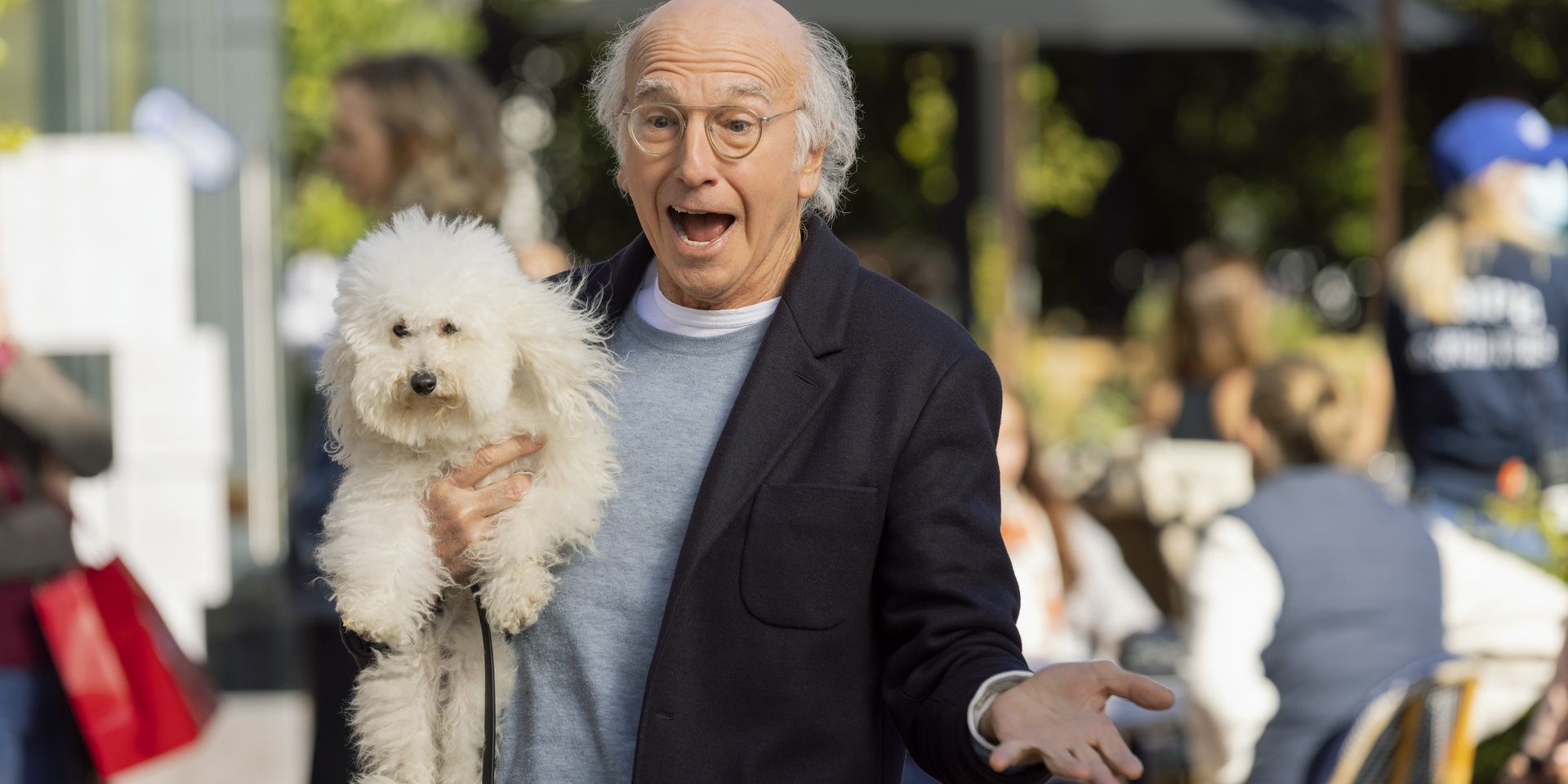 Larry David, Curb Your Enthusiasm'da bir köpeği tutuyor 