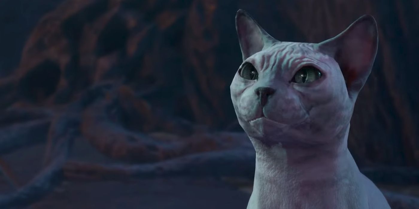 Tüysüz kedi Steelclaw, Baldur's Gate 3'ün ekran görüntüsünde parlıyor.