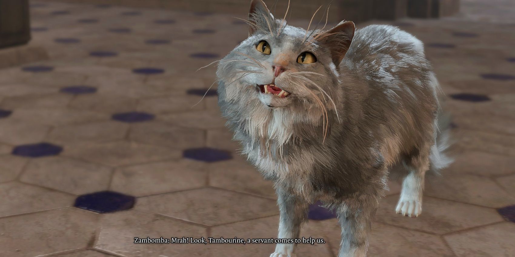 Kedi Zambomba, Baldur's Gate 3'teki fare sorunuyla ilgili yardım istiyor