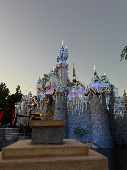 Disneyland'ın Uyuyan Güzel Kalesi'nin düzenlenmemiş fotoğrafı.