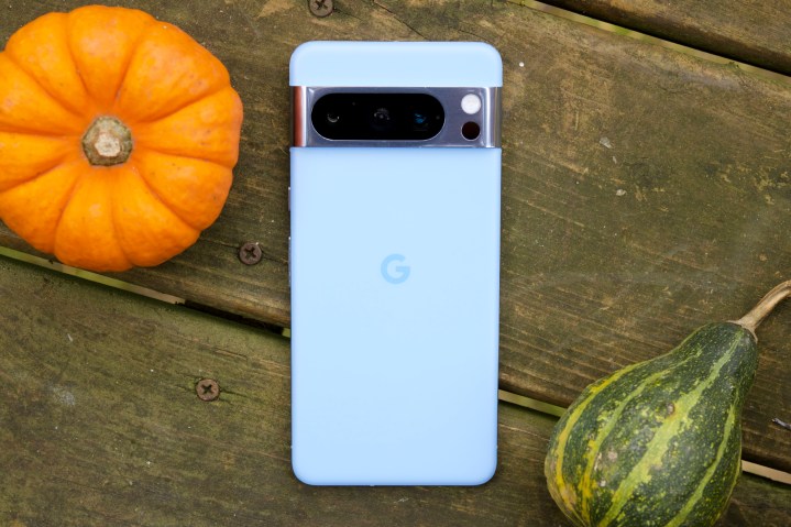 Küçük bir balkabağı ve kabağın yanında yüzü aşağı bakacak şekilde duran mavi bir Google Pixel 8 Pro.