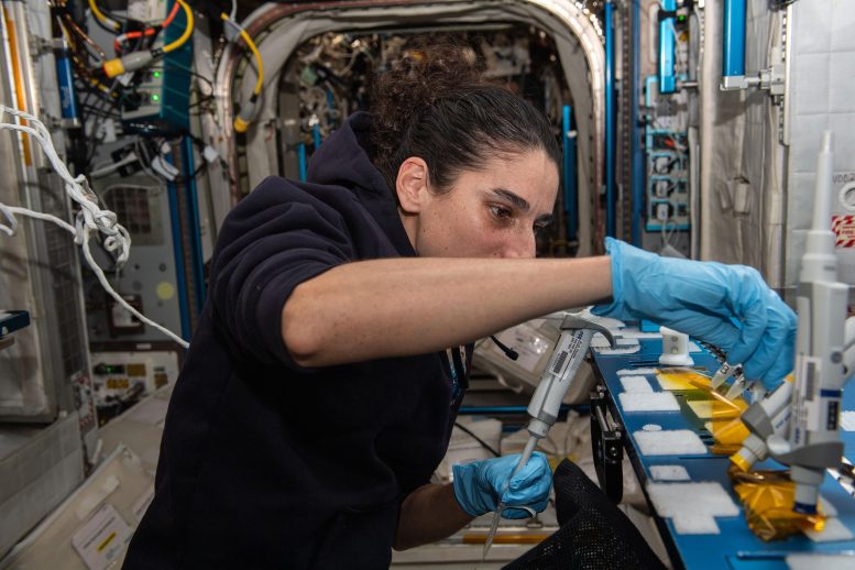 Astronot Jasmin Moghbeli, BioMole Çalışması için DNA Örneklerini Diziliyor