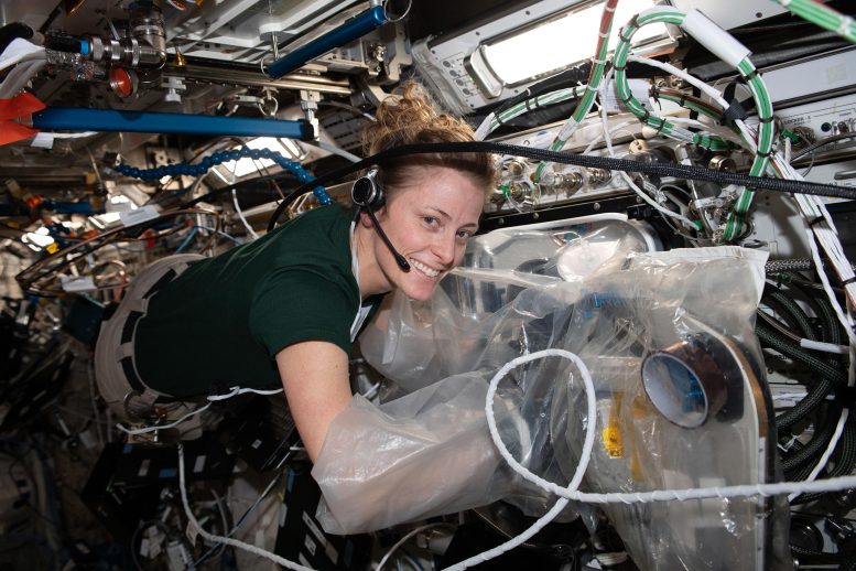 Astronot Loral O'Hara Biyolojik Yazıcının Bileşenlerini Değiştiriyor