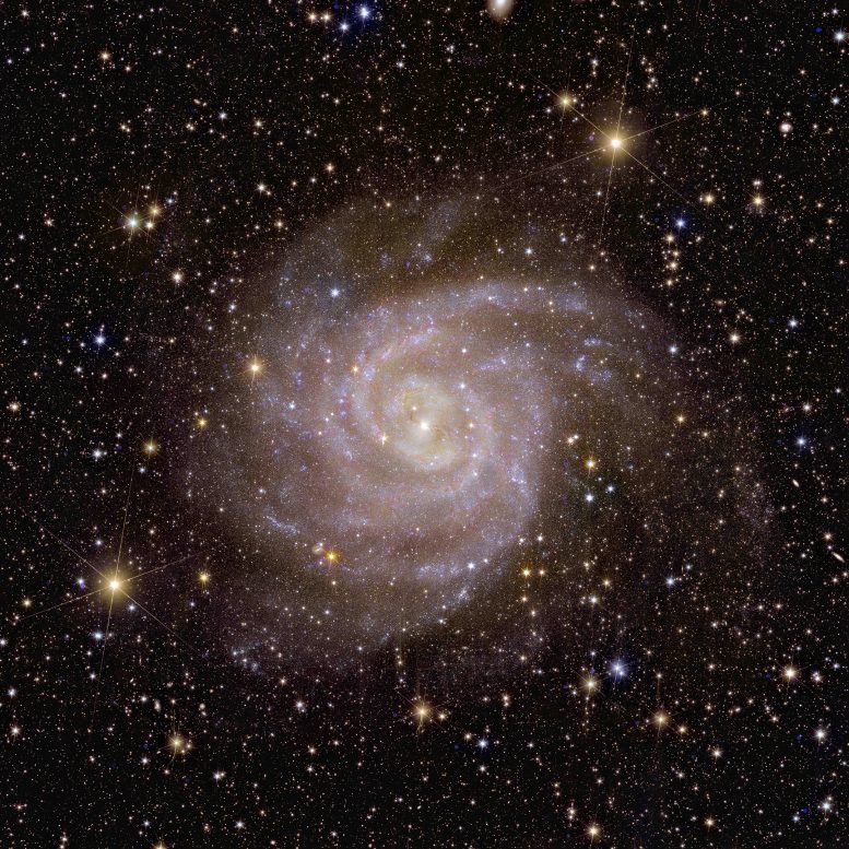 Öklid Sarmal Gökadası IC 342