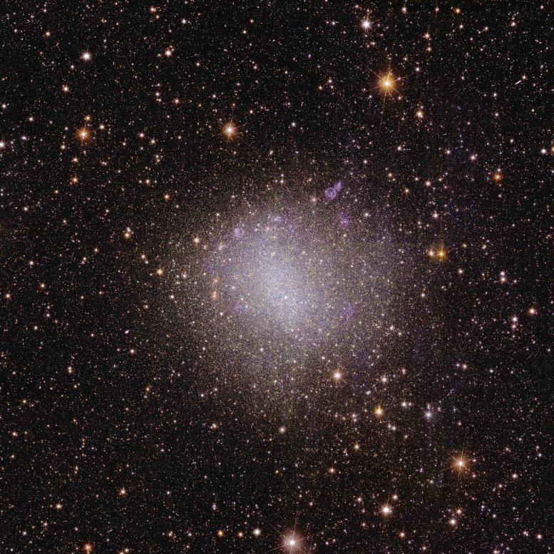 Öklid Düzensiz Gökadası NGC 6822