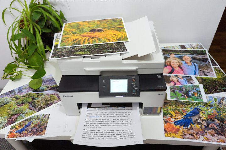 Maxify GX2020'nin fotoğraf baskıları düz kağıt üzerinde bile harika görünüyor ancak kenarlıksız seçenek yok.