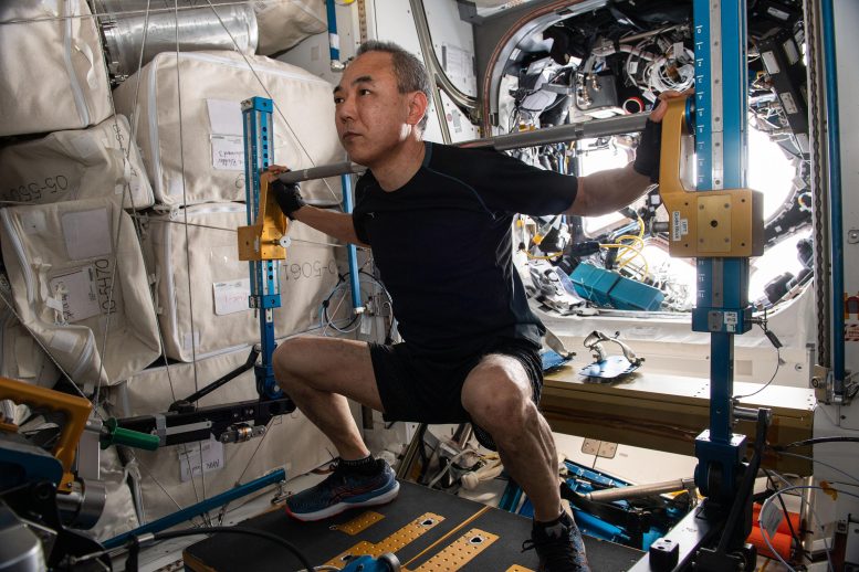 Astronot Satoshi Furukawa ARED Üzerinde Çalışıyor