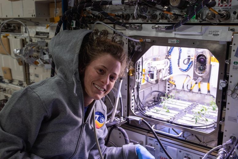 Astronot Loral O'Hara Gelişmiş Bitki Habitatının Önünde Poz Veriyor
