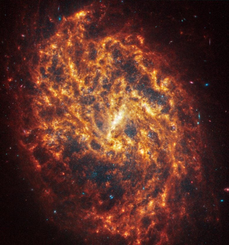 Webb Sarmal Gökadası NGC 1087