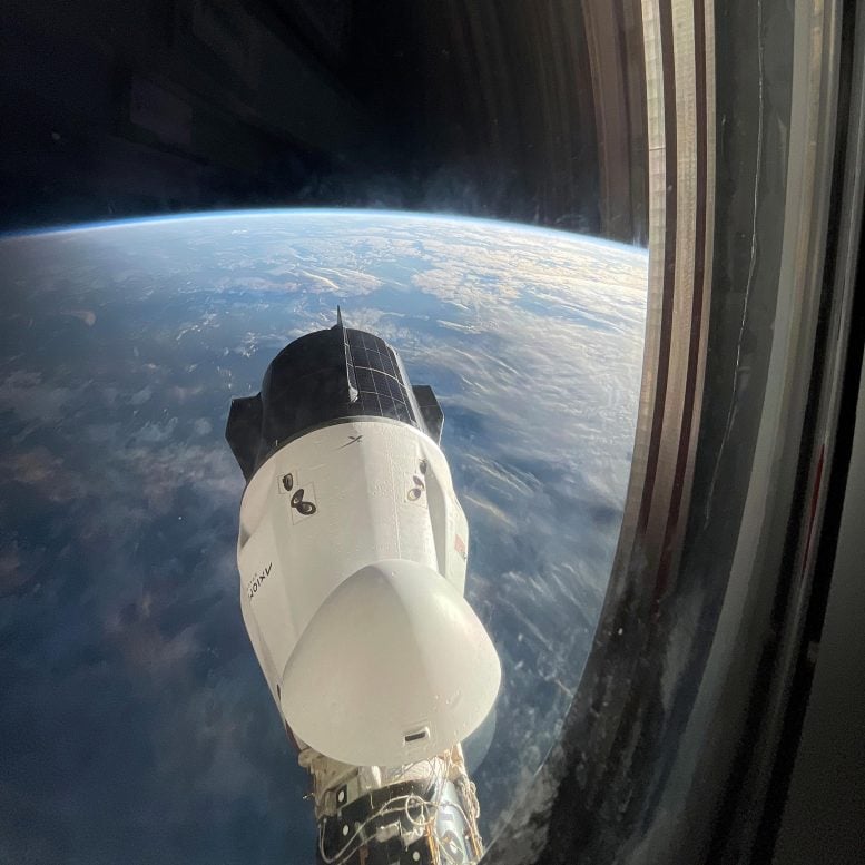 SpaceX Dragon Freedom Uzay Aracı Harmony Modülüne Kenetlendi