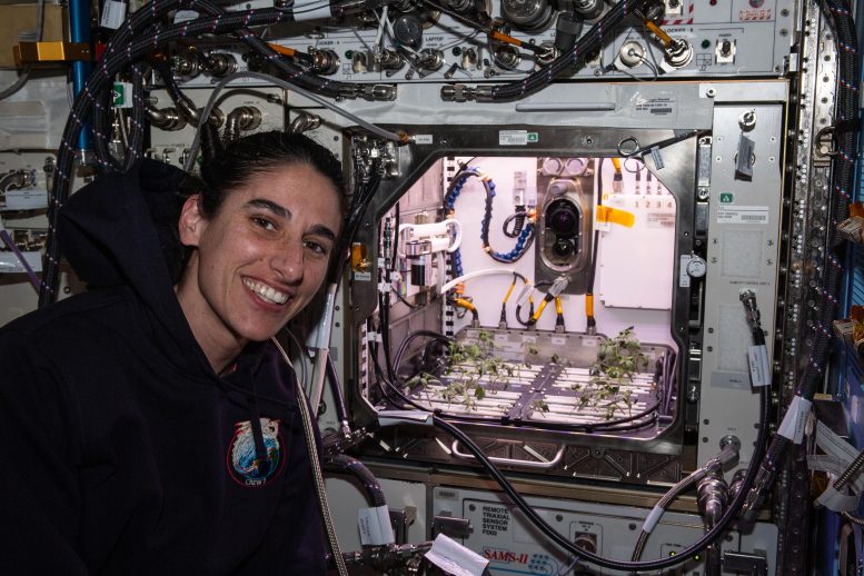Astronot Jasmin Moghbeli Gelişmiş Bitki Habitatının Önünde