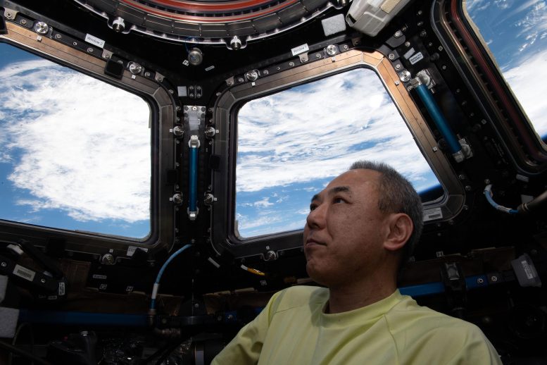 Astronot Satoshi Furukawa Kubbenin İçinden Dünya'ya Bakıyor
