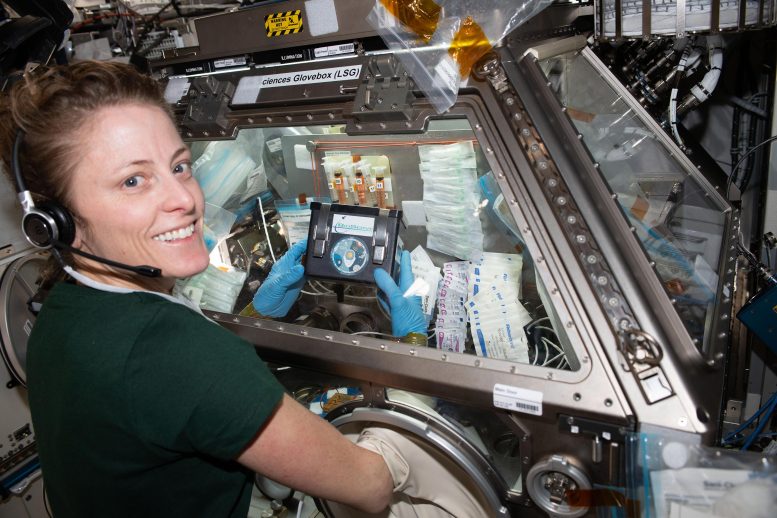 NASA Astronot Loral O'Hara Beyin Hücresi Benzeri Örnekleri Tedavi Ediyor
