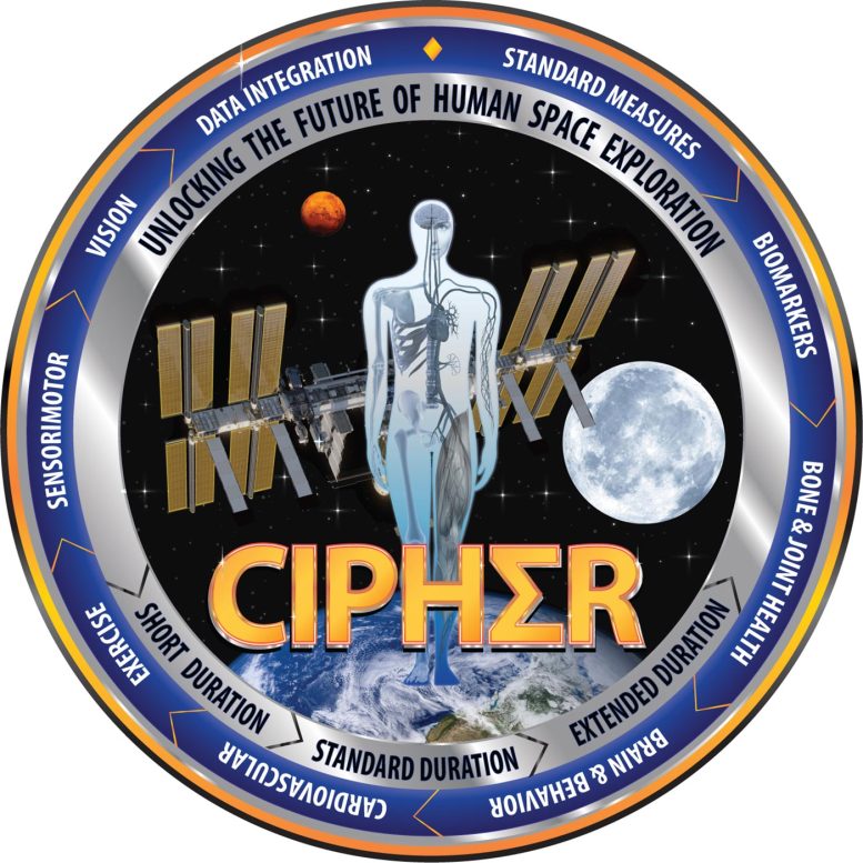 NASA ŞİFRE Logosu