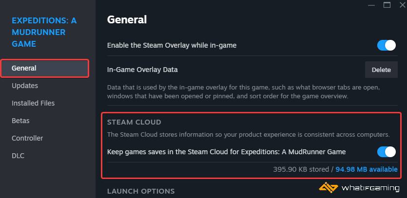 Steam Cloud'u etkinleştirin