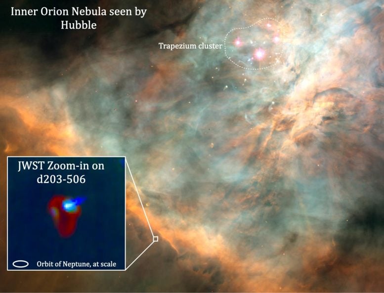 Orion Bulutsusu Öngezegen Diski d203-506