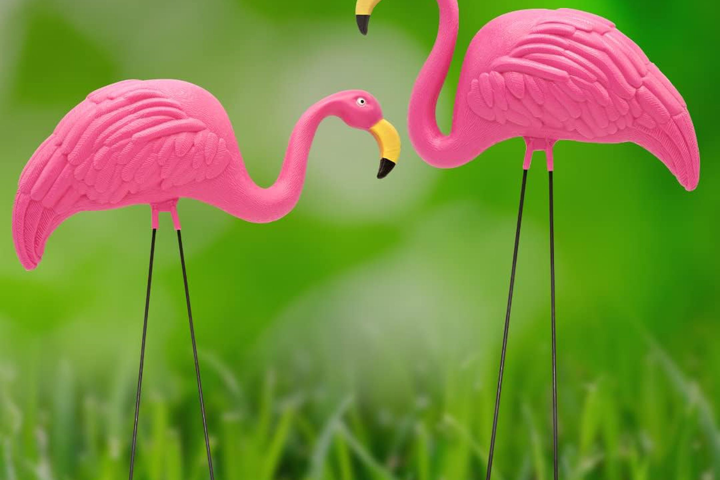 Yeşil çimenlerin üzerinde iki plastik pembe flamingo.