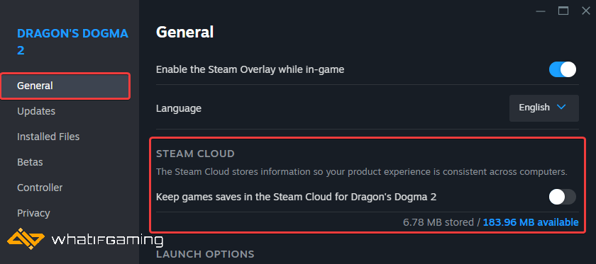 Steam Cloud'un işaretini kaldırın