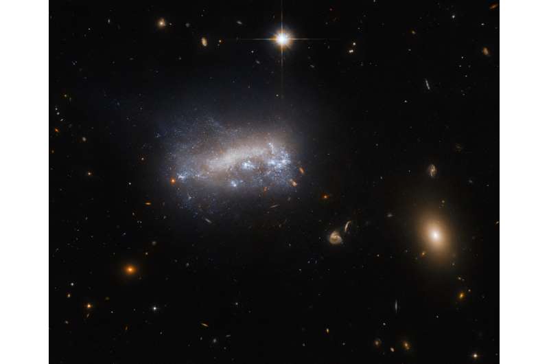 Hubble cüce gökada LEDA 4216’yı görüntüledi