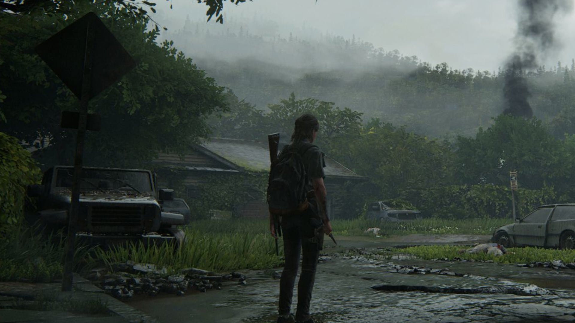The Last of Us 2 Yeniden Düzenlendi Güncellemesi 1.001.020