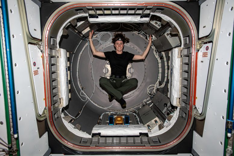 Astronot Loral O'Hara NanoRacks'ın İçinde Bishop Hava Kilidi