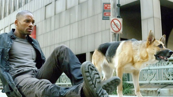 Ben Efsaneyim'de Will Smith ve köpeği.