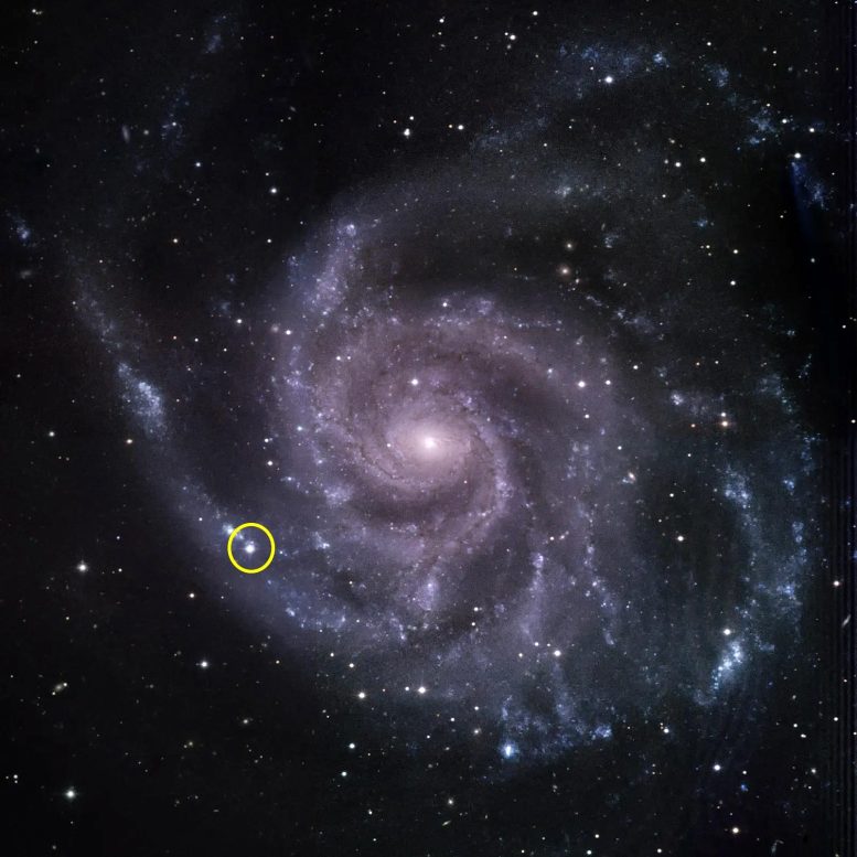 Fırıldak Gökadası Süpernova 2023ixf