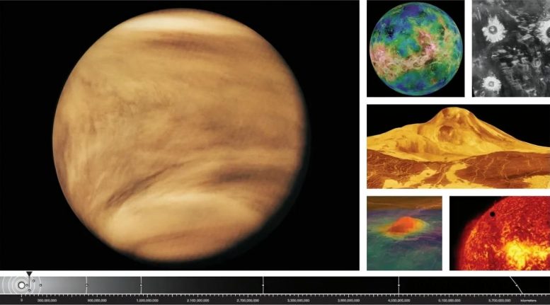 Venüs'ün Görünümleri