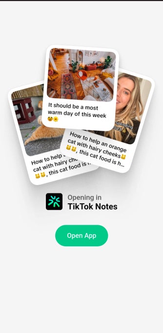 TikTok, fotoğraf paylaşımına yönelik yeni uygulamayla Instagram'ı ele geçirmeyi planlıyor