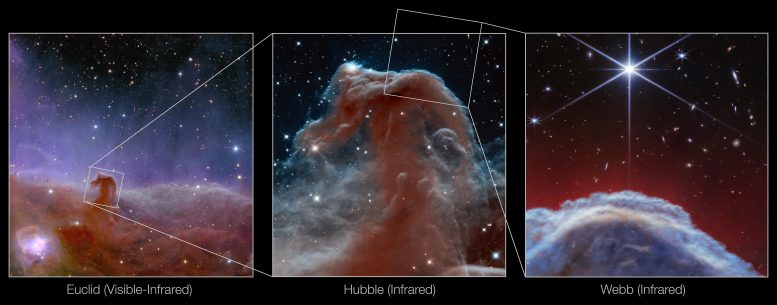 Atbaşı Bulutsusu (Öklid, Hubble ve Webb görüntüleri)