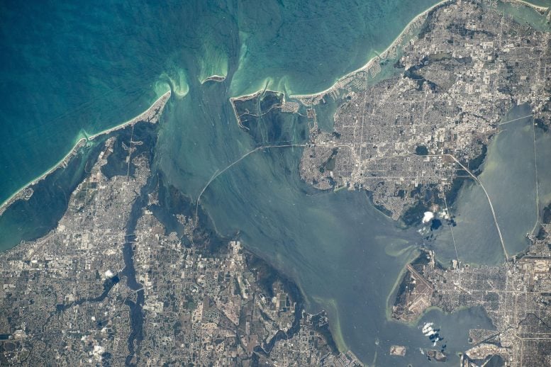 Tampa, Florida Uluslararası Uzay İstasyonundan