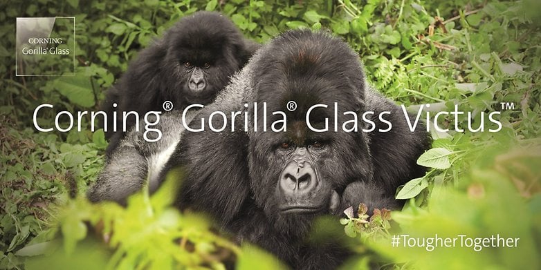 Gerçek bir gorilin önünde Gorilla Glass yazısı