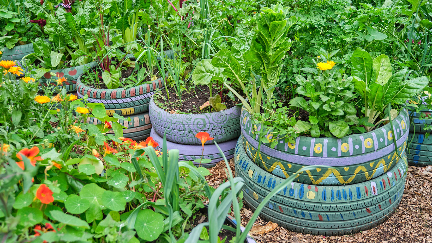 Bir sebze bahçesinde yetiştirici olarak kullanılan dekore edilmiş tipler
