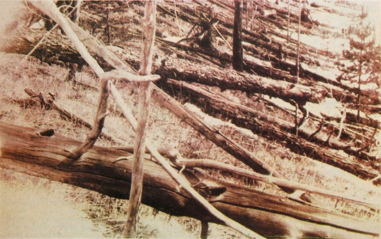 Tunguska Yıkımı