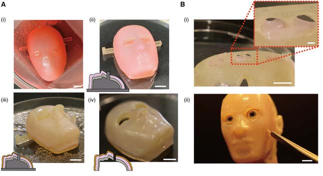 Yüz cihazını deri eşdeğeriyle kaplamak için delikli tip çapaların gösterimi