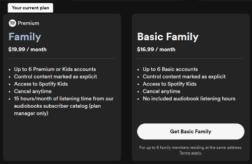 Spotify yeni düşük maliyetli ürün sunuyor "Temel" sesli kitap kullanmayanlar için plan