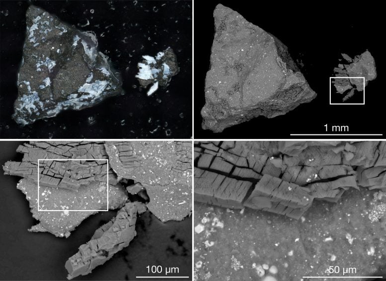 Asteroit Bennu Örnek Mikroskop Görüntüleri