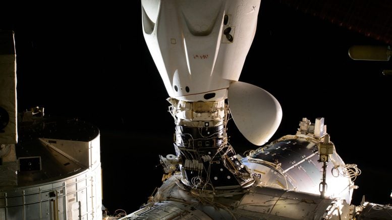 SpaceX Dragon Endeavour, Haziran 2024'te Harmony Modülüne Yerleştirildi