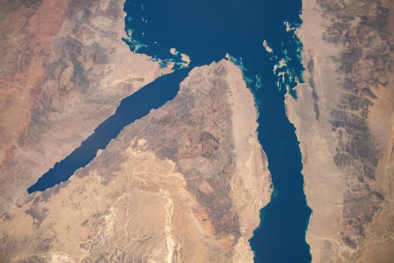 Uzay İstasyonundan Akaba Körfezi ve Süveyş Körfezi
