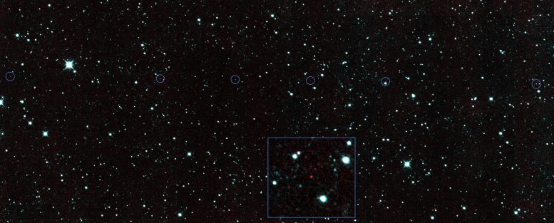 NEOWISE Altı Sıralı NEO Tespiti
