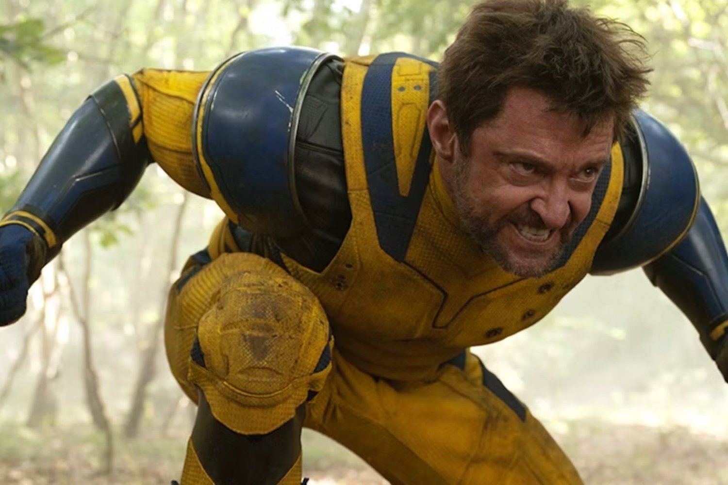 Jackman Wolverine