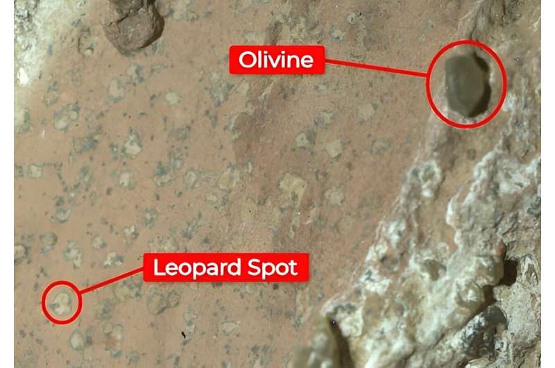 NASA Mars'ta antik yaşam kanıtı buldu mu? Bir uzman son keşfi inceliyor